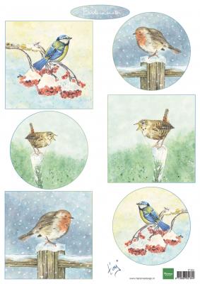 Tiny's Birds in Winter